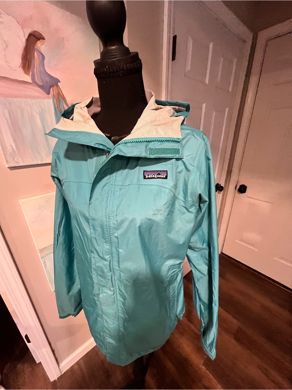 Patagonia Women's Teal Hooded Waterproof Shell Jacket